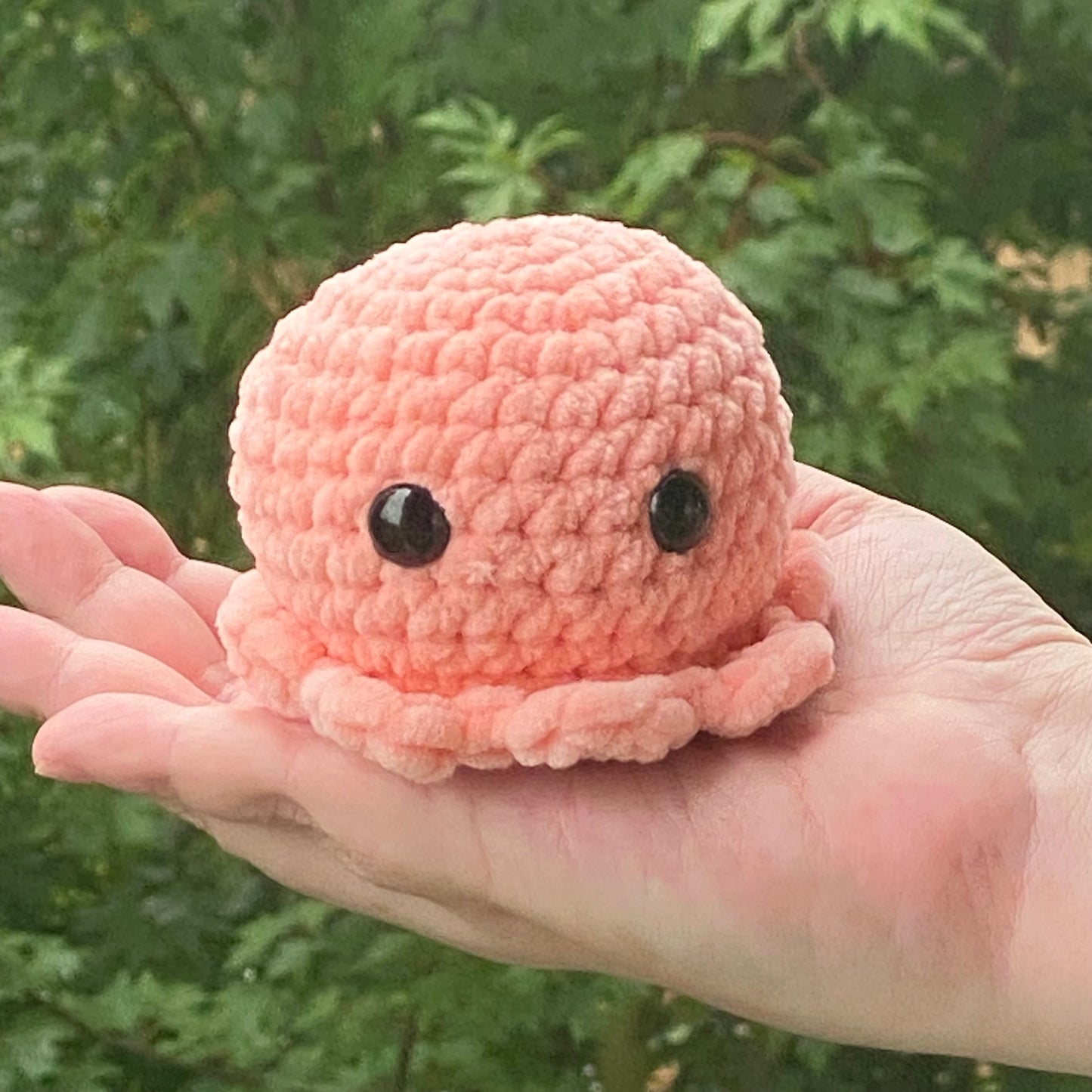 Ollie the Octopus