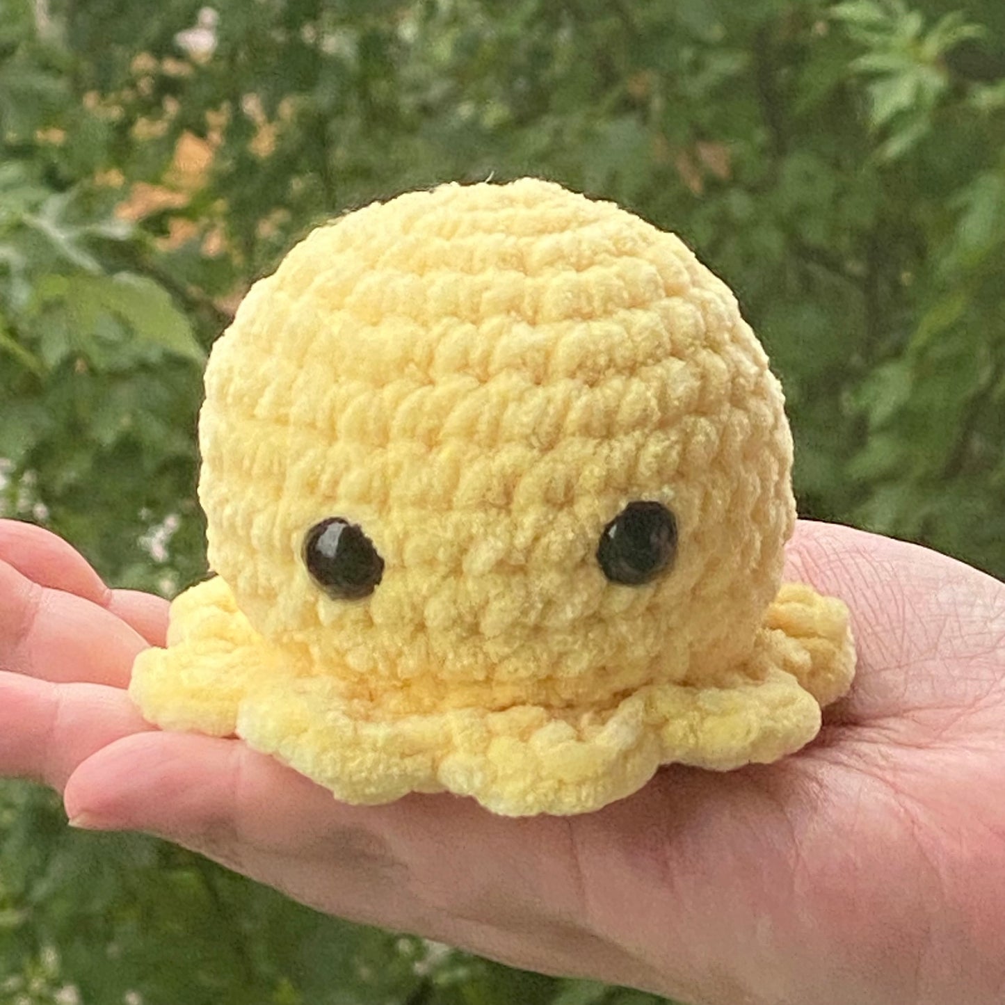 Ollie the Octopus