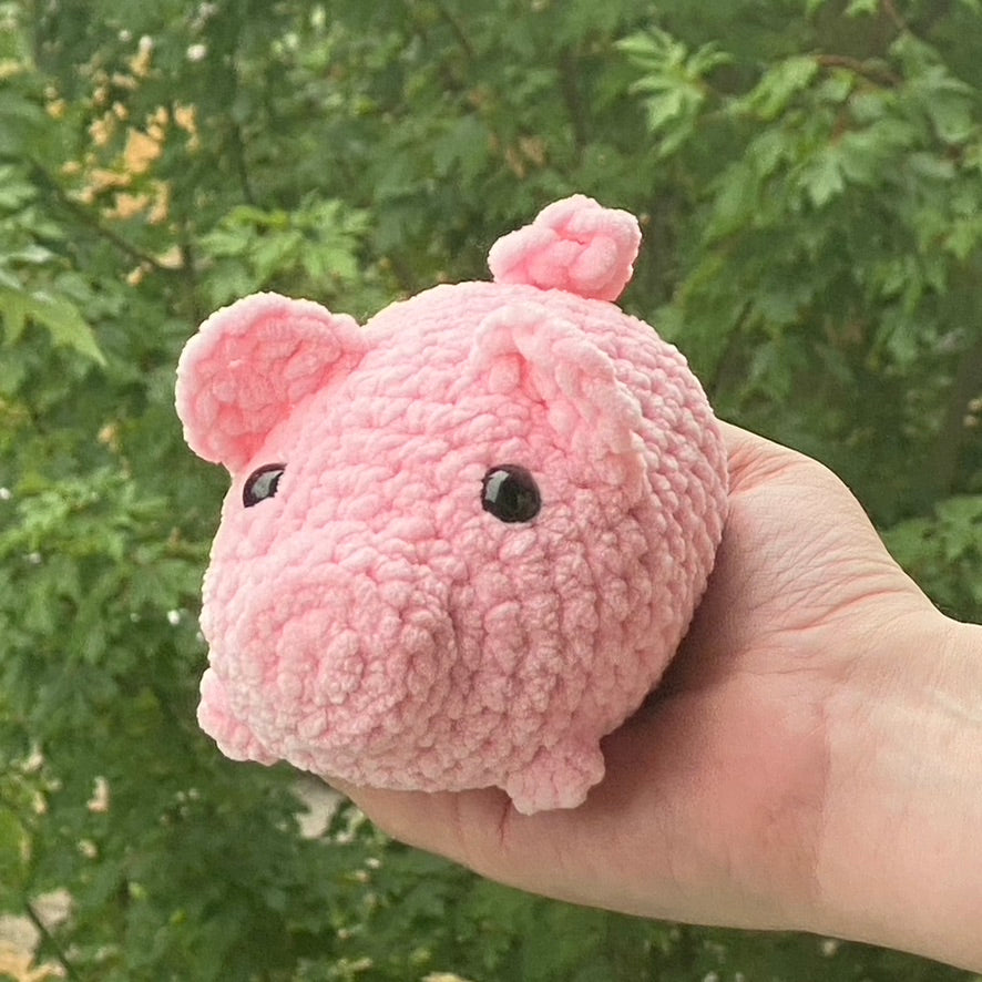 Polly the Pig