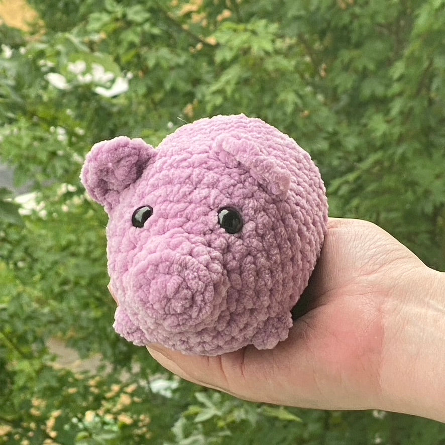 Polly the Pig