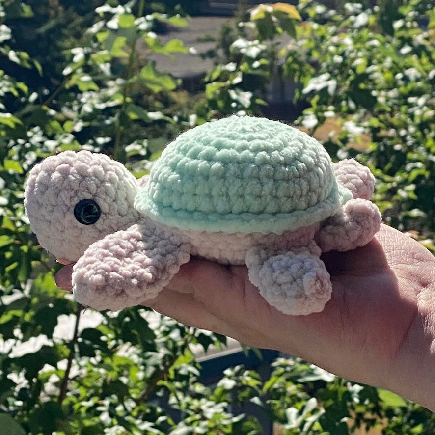 Toby the Turtle