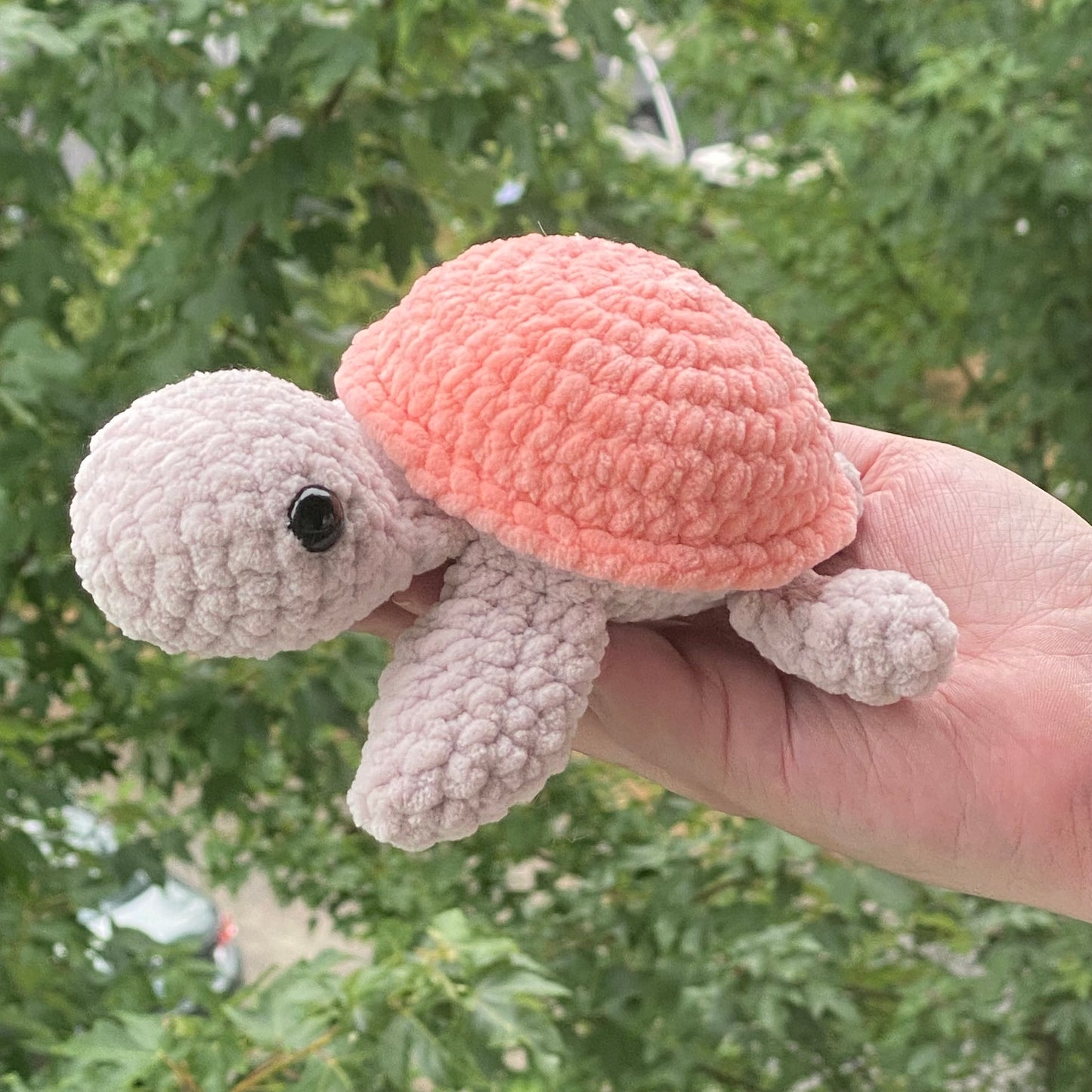 Toby the Turtle