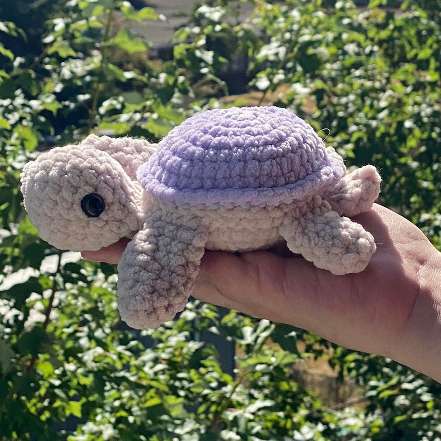 Toby the Turtle