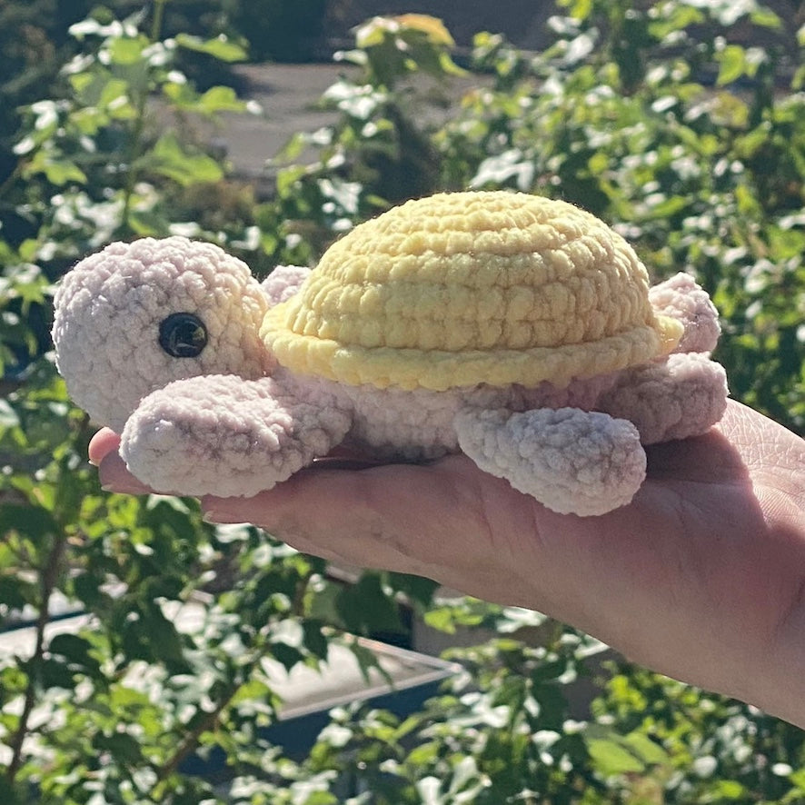 Toby the Turtle